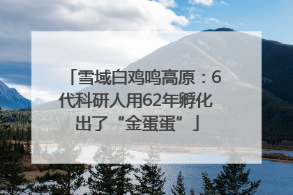 雪域白鸡鸣高原：6代科研人用62年孵化出了“金蛋蛋”