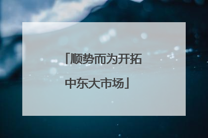 顺势而为开拓中东大市场