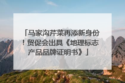马家沟芹菜再添新身份！贸促会出具《地理标志产品品牌证明书》