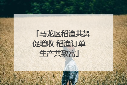 马龙区稻渔共舞促增收 稻渔订单生产共致富