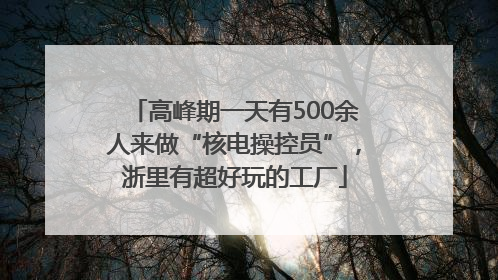 高峰期一天有500余人来做“核电操控员”，浙里有超好玩的工厂