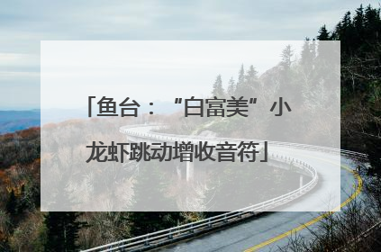 鱼台：“白富美”小龙虾跳动增收音符