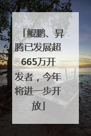 鲲鹏、昇腾已发展超665万开发者，今年将进一步开放