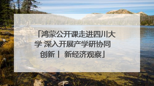 鸿蒙公开课走进四川大学 深入开展产学研协同创新丨 新经济观察