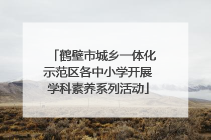 鹤壁市城乡一体化示范区各中小学开展学科素养系列活动
