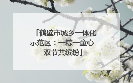鹤壁市城乡一体化示范区：一粽一童心 双节共缤纷