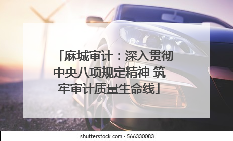 麻城审计：深入贯彻中央八项规定精神 筑牢审计质量生命线