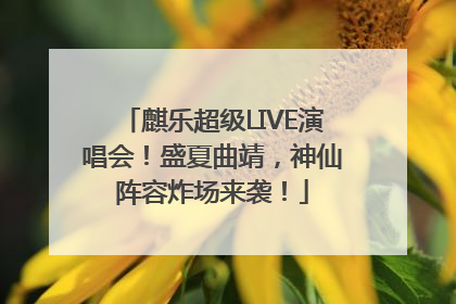 麒乐超级LIVE演唱会！盛夏曲靖，神仙阵容炸场来袭！