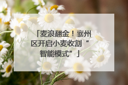 麦浪翻金！襄州区开启小麦收割“智能模式”