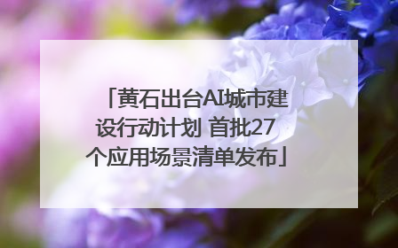 黄石出台AI城市建设行动计划 首批27个应用场景清单发布
