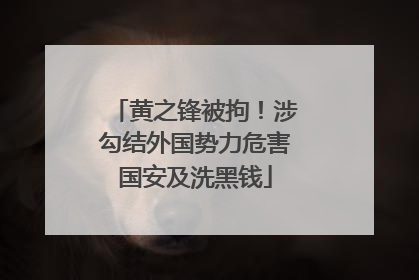 黄之锋被拘！涉勾结外国势力危害国安及洗黑钱