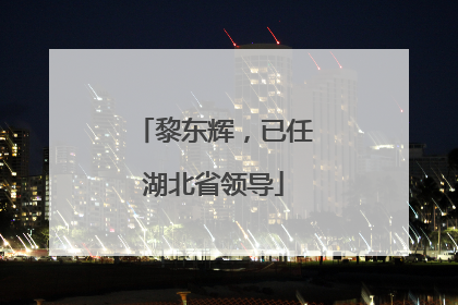 黎东辉，已任湖北省领导
