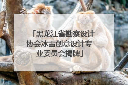 黑龙江省勘察设计协会冰雪创意设计专业委员会揭牌