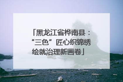 黑龙江省桦南县：“三色”匠心织锦绣 绘就治理新画卷