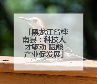 黑龙江省桦南县：科技人才驱动 赋能产业促发展