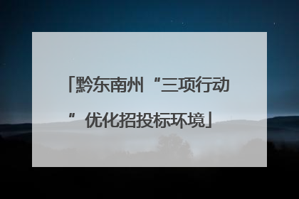 黔东南州“三项行动”优化招投标环境