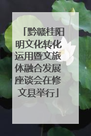 黔赣桂阳明文化转化运用暨文旅体融合发展座谈会在修文县举行