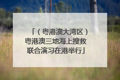 （粤港澳大湾区）粤港澳三地海上搜救联合演习在港举行