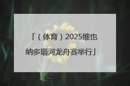 （体育）2025维也纳多瑙河龙舟赛举行