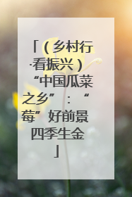 （乡村行·看振兴）“中国瓜菜之乡”：“莓”好前景 四季生金