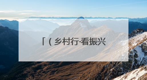 （乡村行·看振兴）广西钦州荔枝集中上市 “荔枝+农文旅融合”助农增收