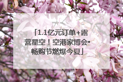 1.1亿元订单+露营星空！空港家博会▪畅购节燃爆今夏
