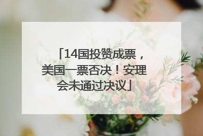 14国投赞成票，美国一票否决！安理会未通过决议