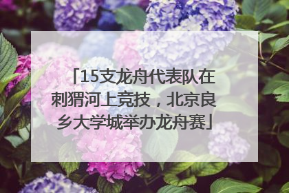 15支龙舟代表队在刺猬河上竞技，北京良乡大学城举办龙舟赛