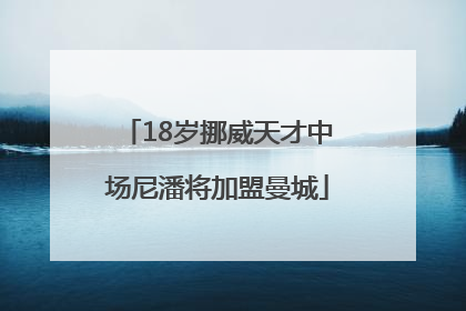 18岁挪威天才中场尼潘将加盟曼城