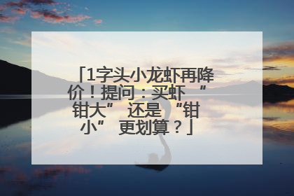 1字头小龙虾再降价！提问：买虾 “钳大” 还是 “钳小” 更划算？
