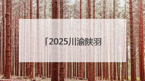 2025川渝陕羽毛球混合团体邀请赛在四川达州开赛
