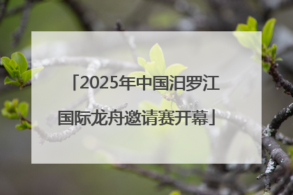 2025年中国汨罗江国际龙舟邀请赛开幕