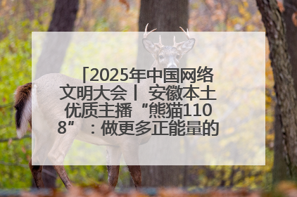 2025年中国网络文明大会丨 安徽本土优质主播“熊猫1108”：做更多正能量的事情 带给大家快乐