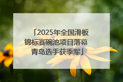 2025年全国滑板锦标赛碗池项目落幕 青岛选手获季军