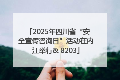 2025年四川省“安全宣传咨询日”活动在内江举行& 8203