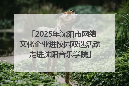 2025年沈阳市网络文化企业进校园双选活动走进沈阳音乐学院