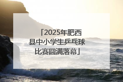 2025年肥西县中小学生乒乓球比赛圆满落幕