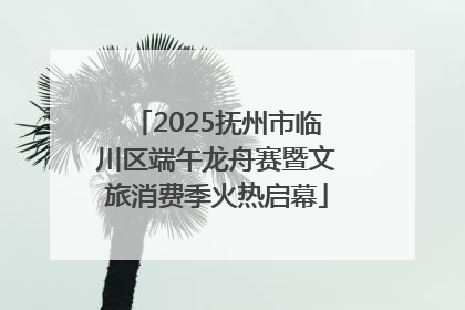 2025抚州市临川区端午龙舟赛暨文旅消费季火热启幕