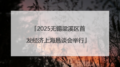 2025无锡梁溪区首发经济上海恳谈会举行