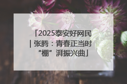 2025泰安好网民｜张腾：青春正当时 “棚”湃振兴曲