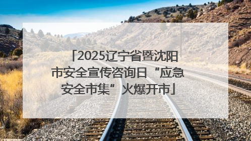 2025辽宁省暨沈阳市安全宣传咨询日“应急安全市集”火爆开市
