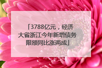 3788亿元，经济大省浙江今年新增债务限额同比涨两成