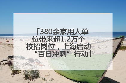 380余家用人单位带来超1.2万个校招岗位，上海启动“百日冲刺”行动