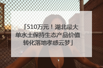 510万元！湖北最大单水土保持生态产品价值转化落地孝感云梦