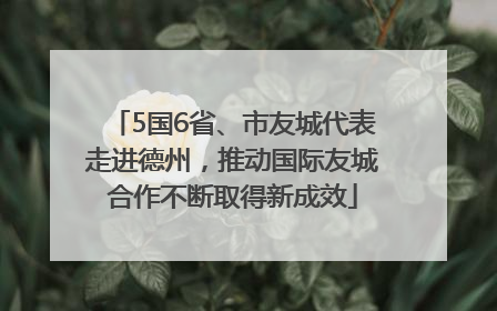 5国6省、市友城代表走进德州，推动国际友城合作不断取得新成效