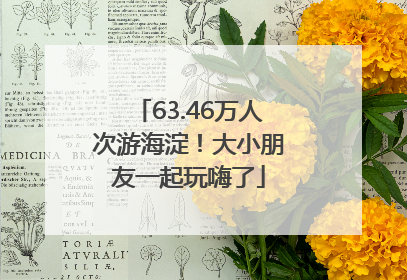 63.46万人次游海淀！大小朋友一起玩嗨了