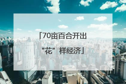 70亩百合开出“花”样经济