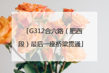 G312合六路（肥西段）最后一座桥梁贯通