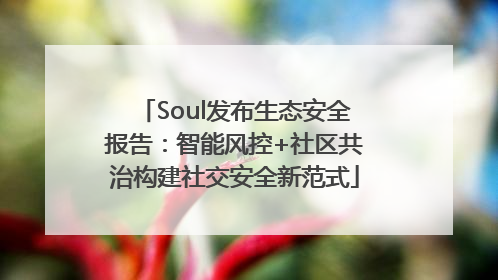 Soul发布生态安全报告：智能风控+社区共治构建社交安全新范式
