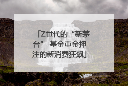 Z世代的“新茅台” 基金重金押注的新消费狂飙